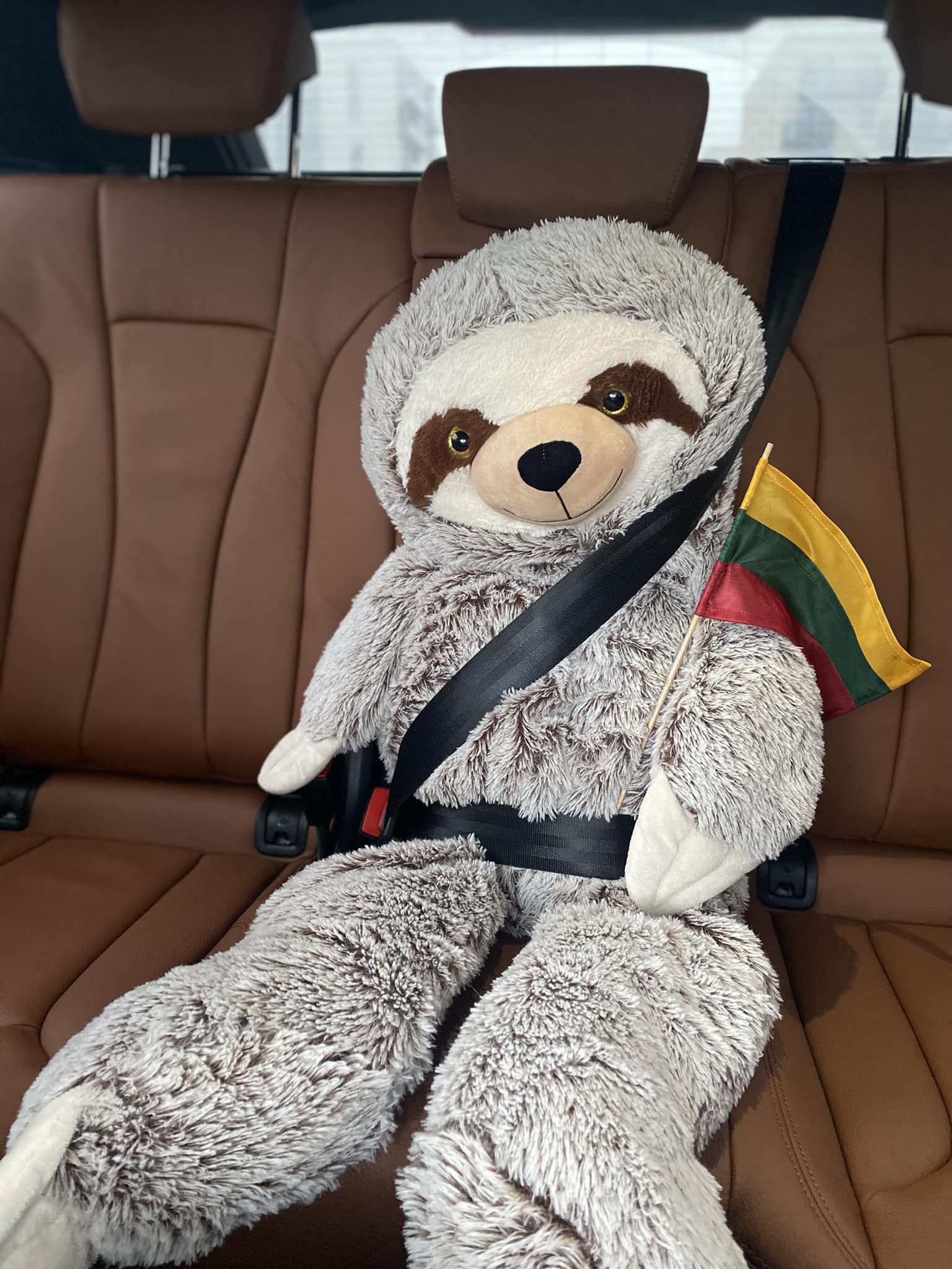 Mercedes car rental for school trips