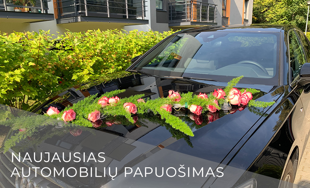 Transporto nuoma įmonėms